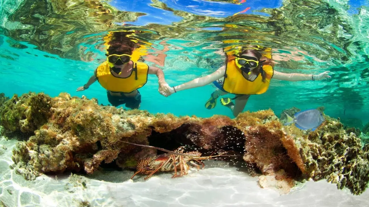 Float Where the World Fades