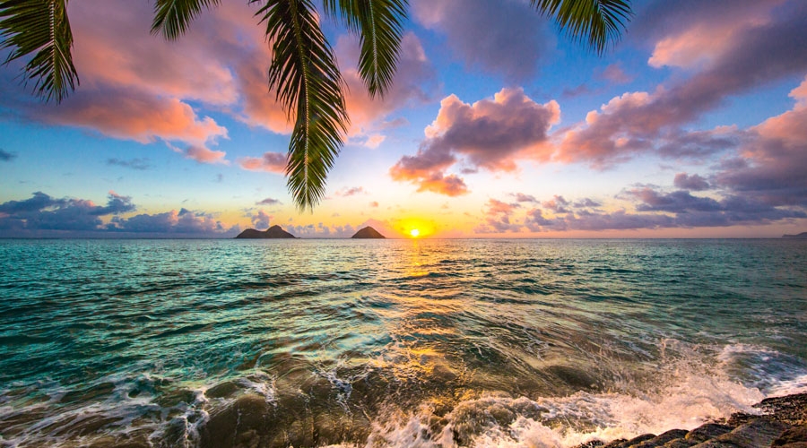 Watch Sunrise at Sitapur Beach