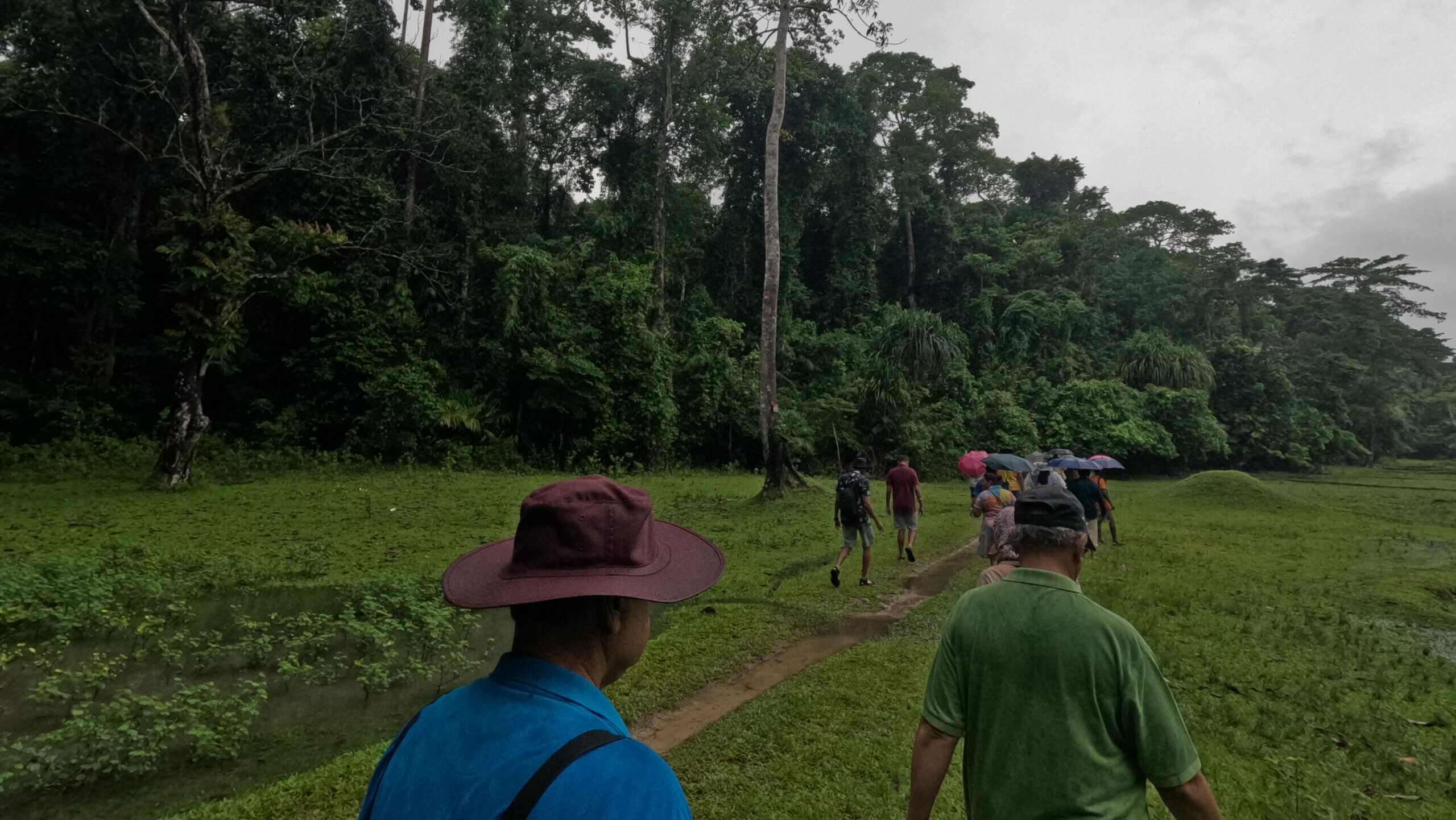 Trek the Green Trails